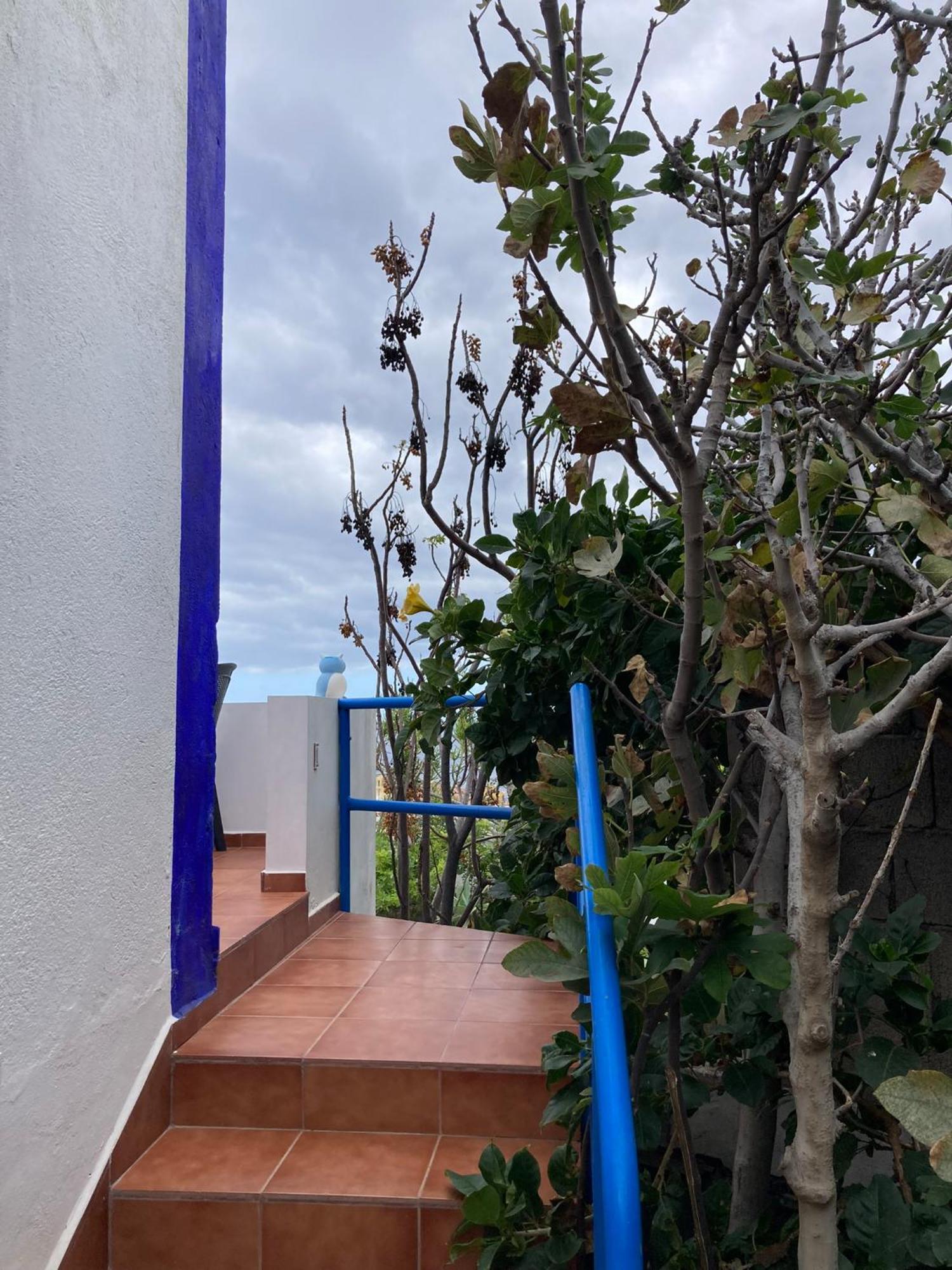 Y Marina Apartamento