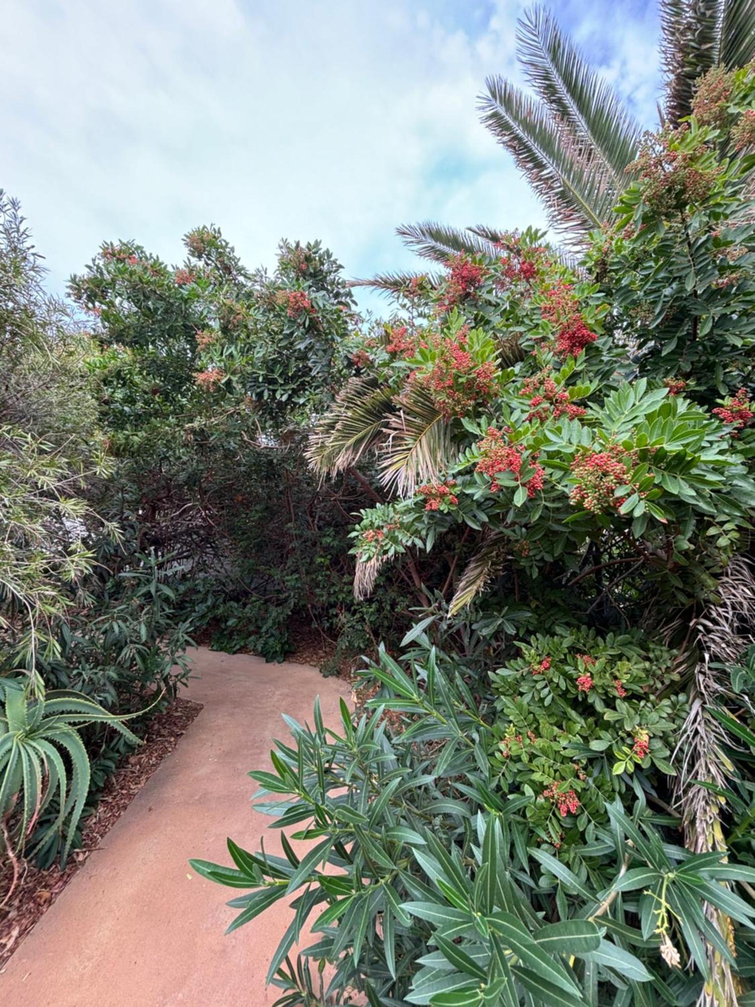 Apartamento Y Marina La Caleta (El Hierro)