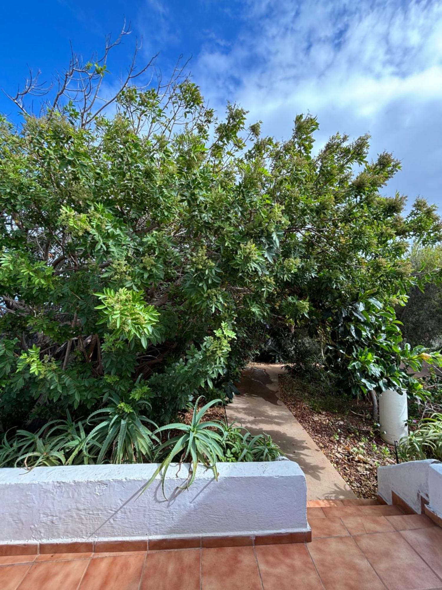 Apartamento Y Marina La Caleta (El Hierro)
