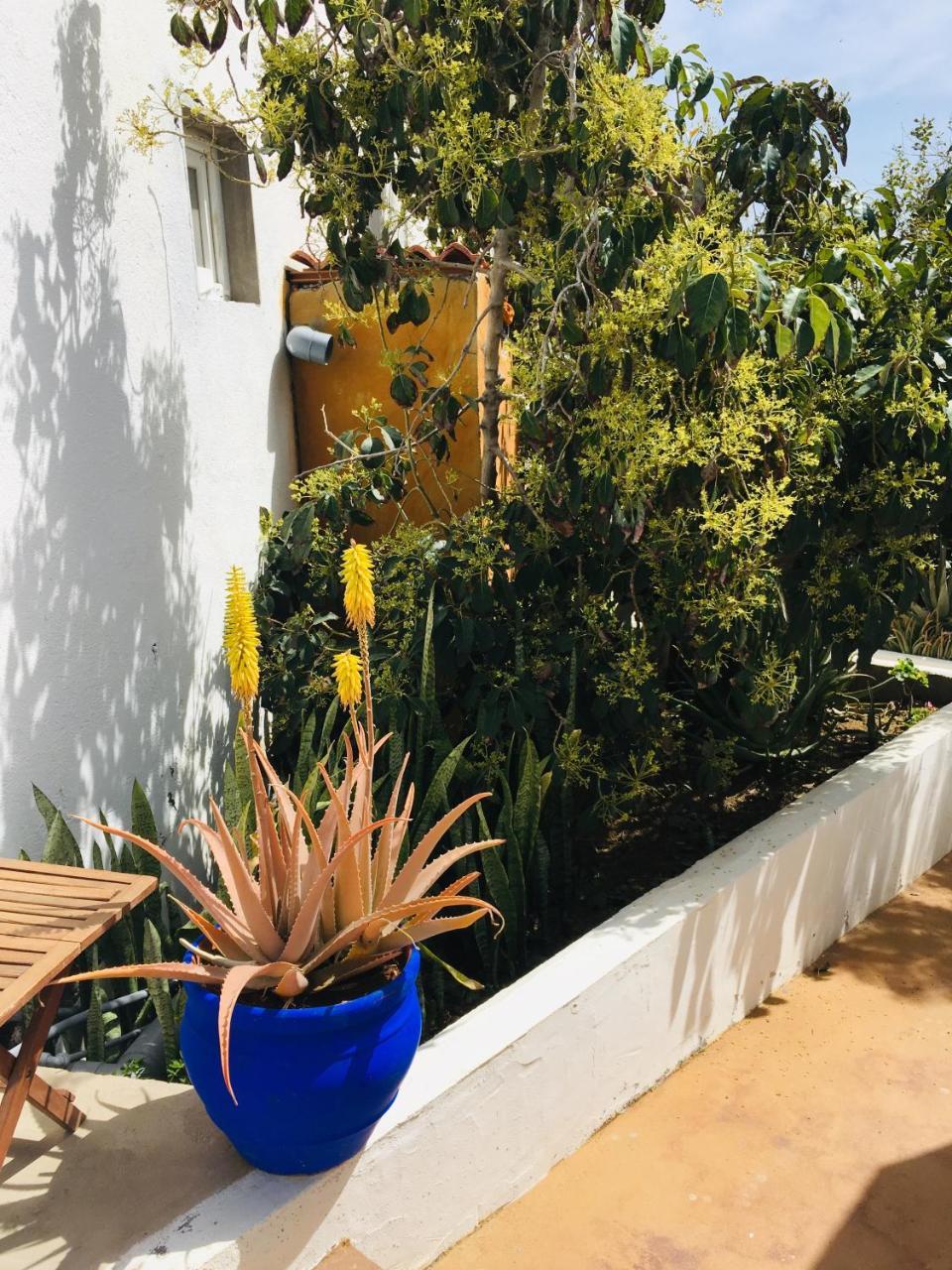 Apartamento Y Marina La Caleta (El Hierro)
